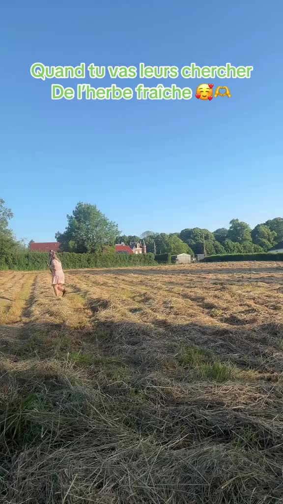 @ᏦᎥᎥᏦᏗᏗ 🌾🚜🐮