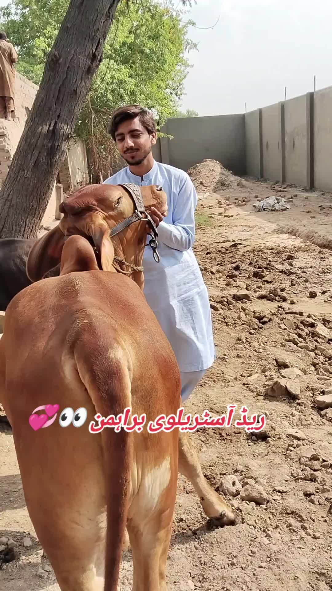 @The Brahmans Farming