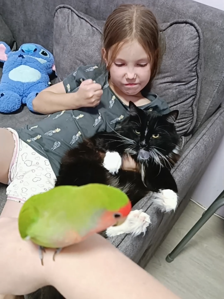@Юлия Кириллова
