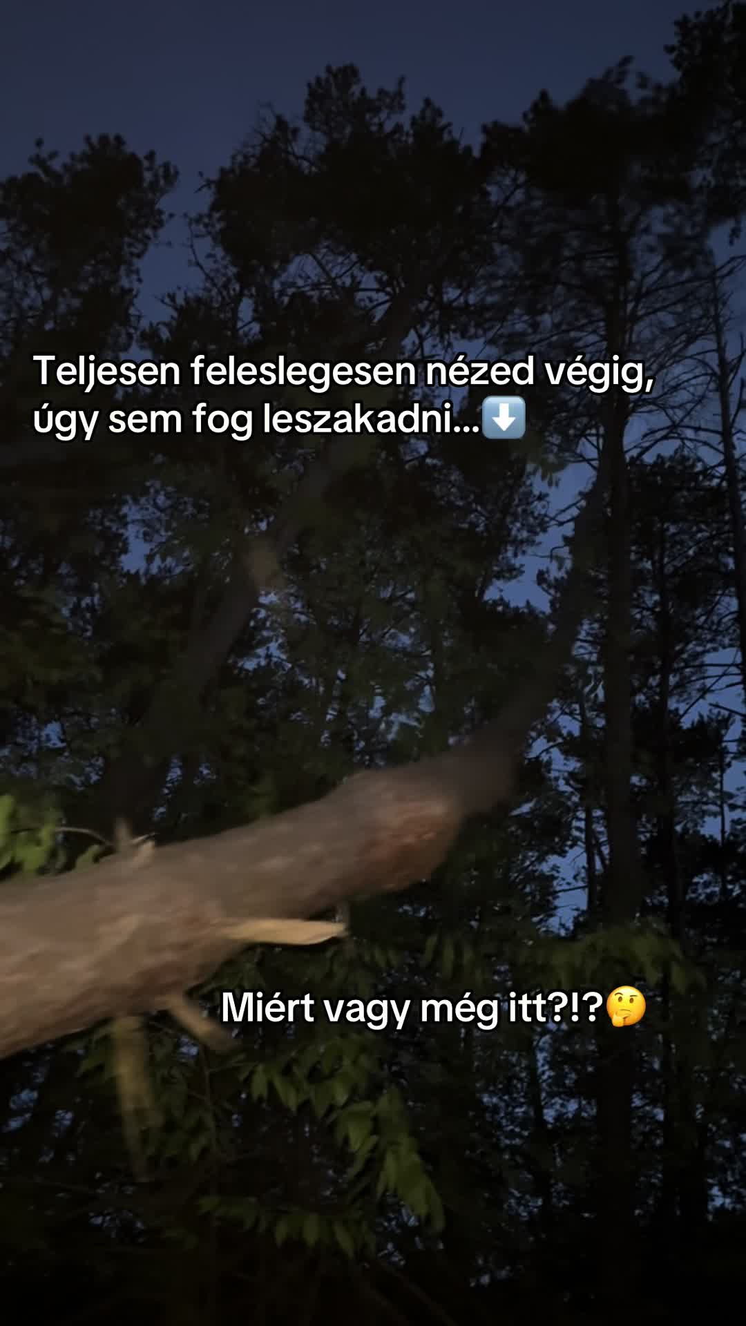 @Nagyon Erős Vanessza