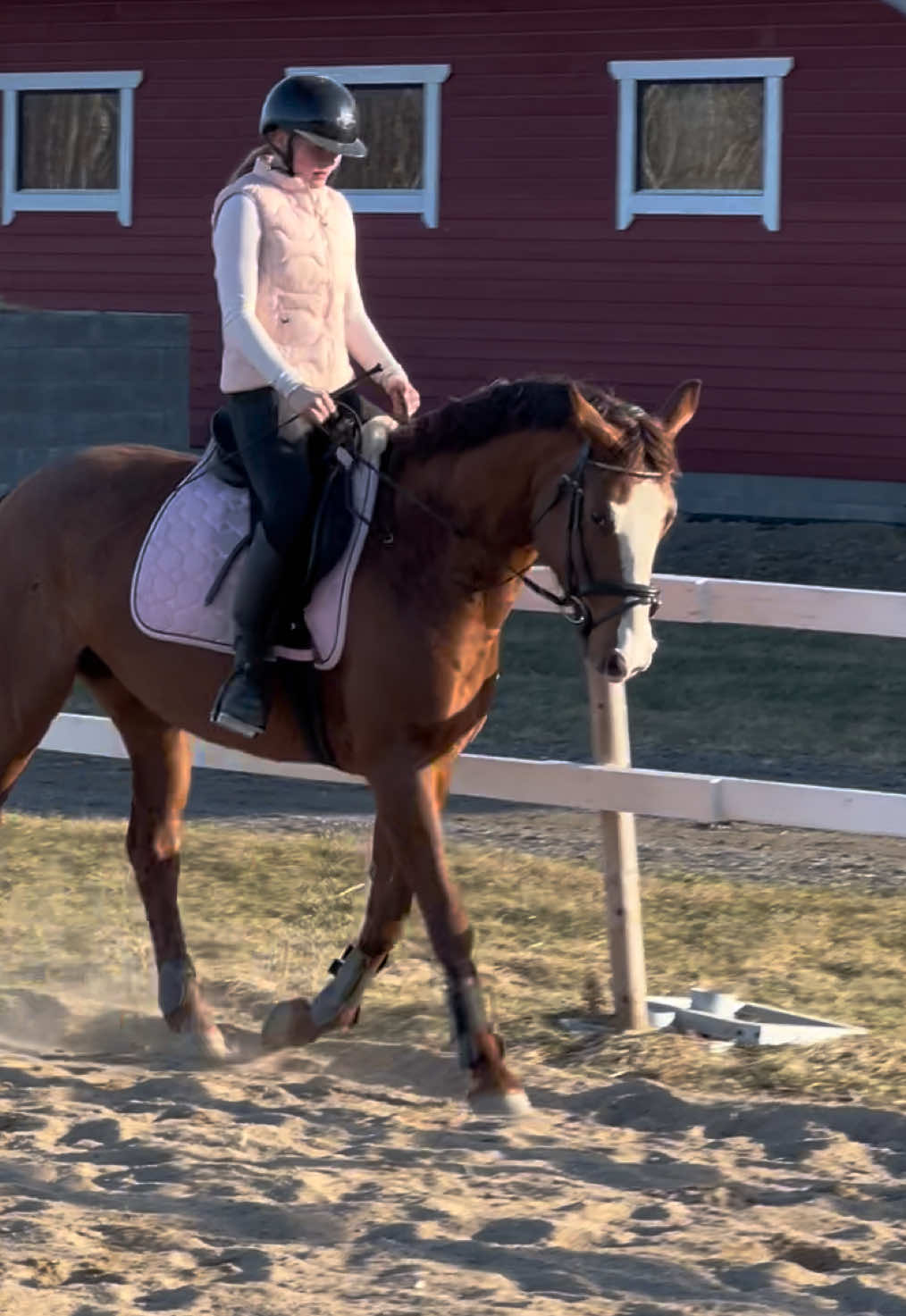@Equestrian Veera🏇