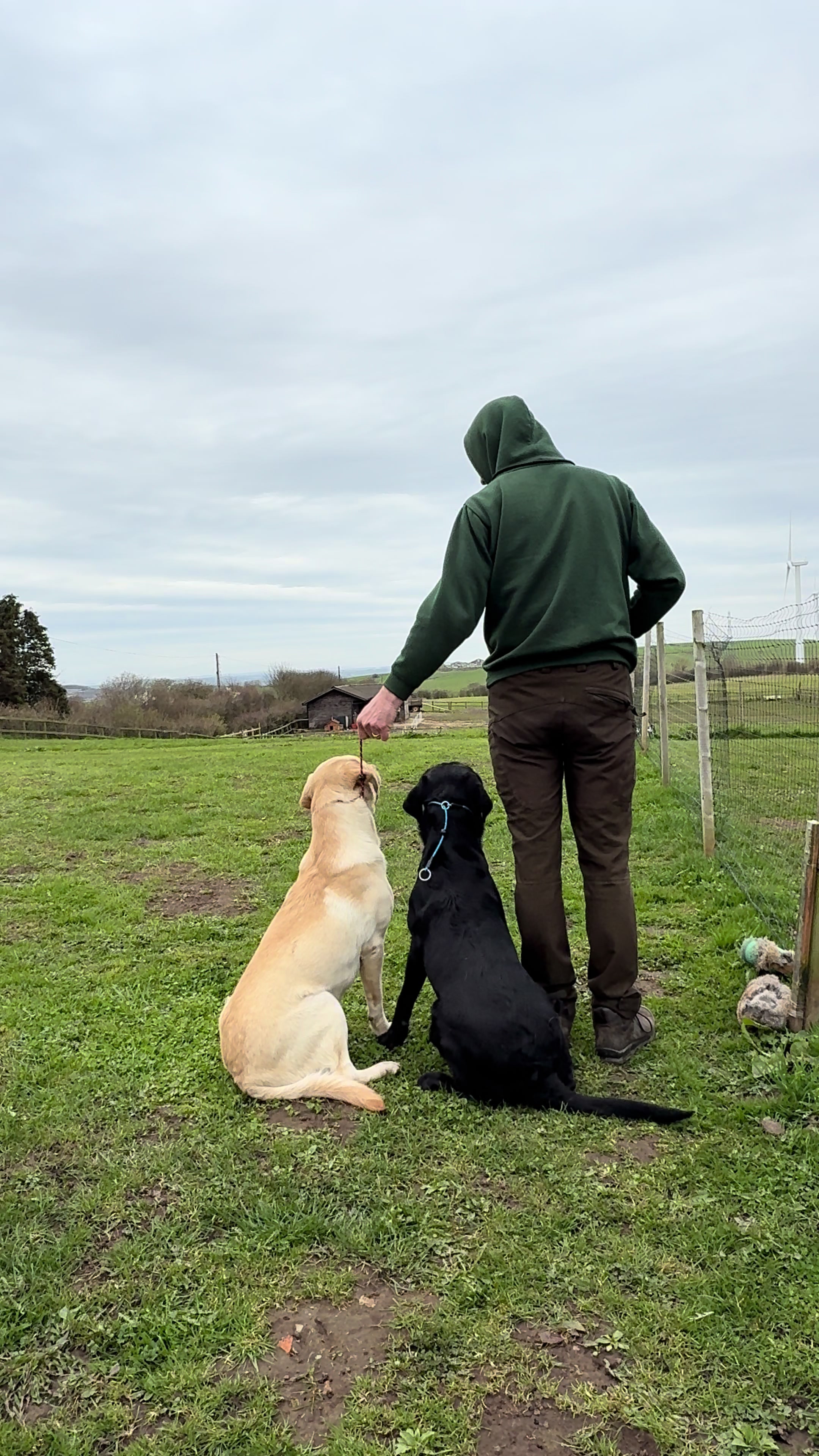 @slingleygundogs