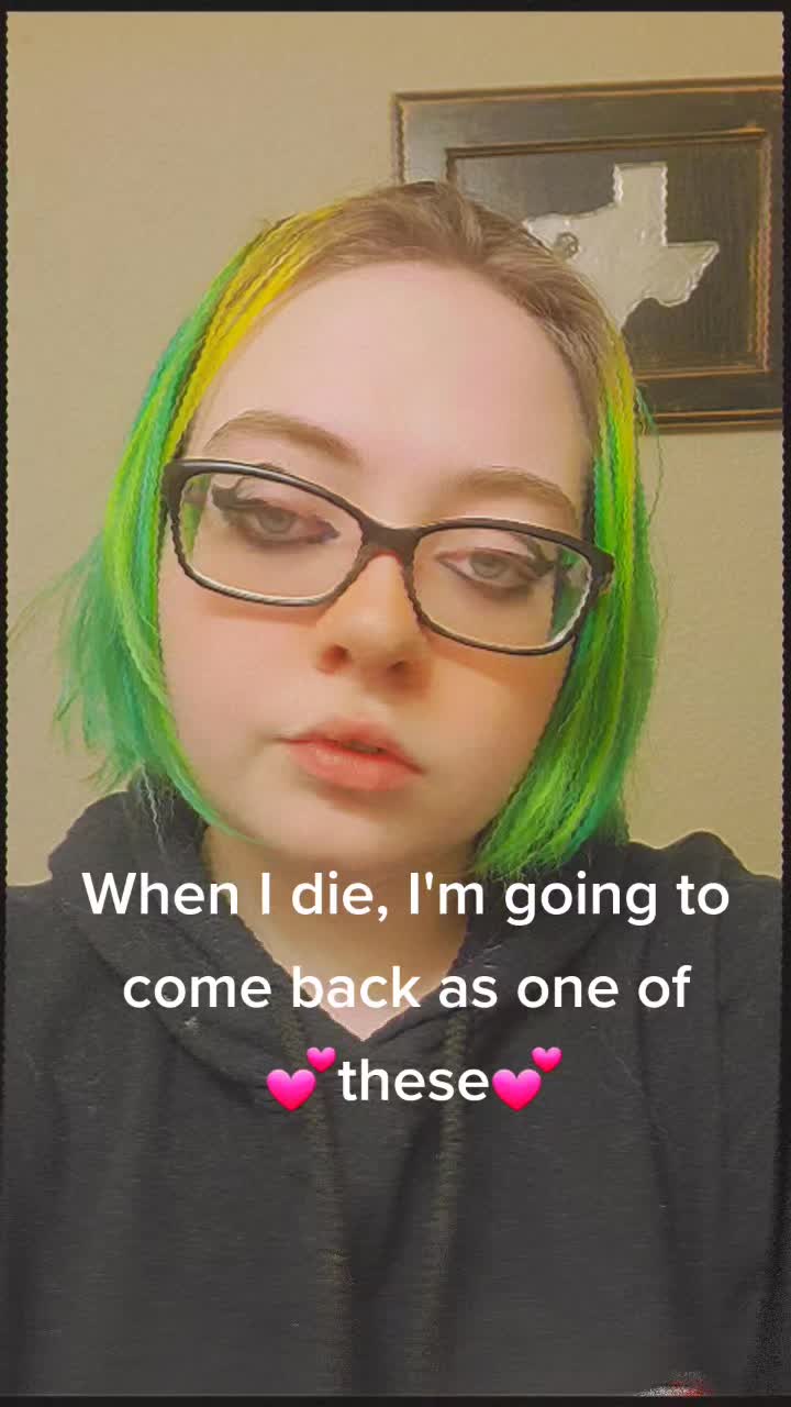@Bish