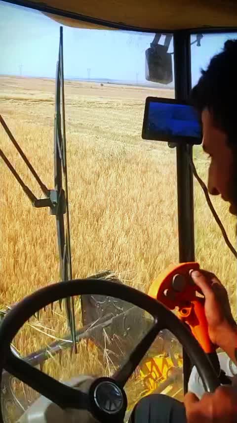 @الہفُہاروق