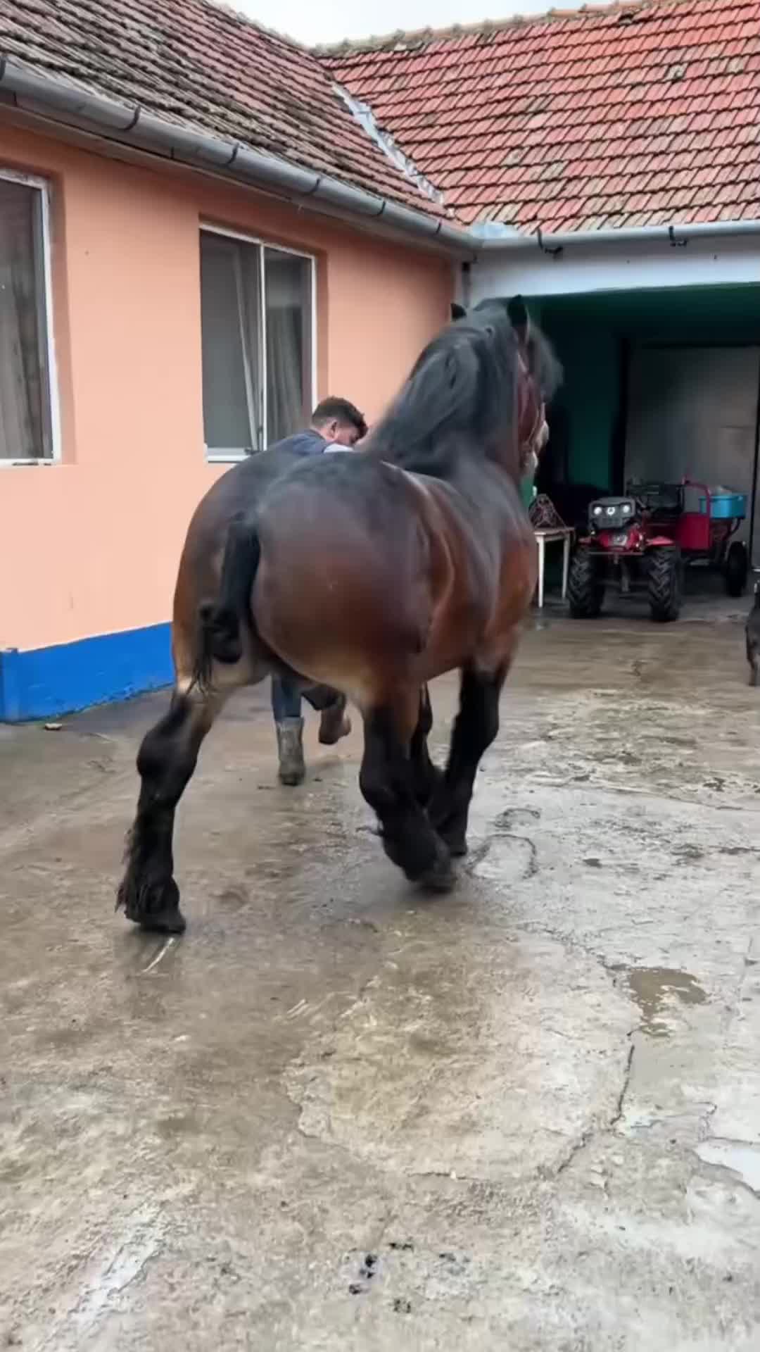 @🐴spartanu80🐴