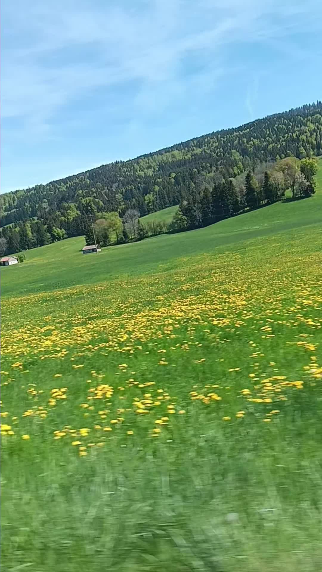 @Dina