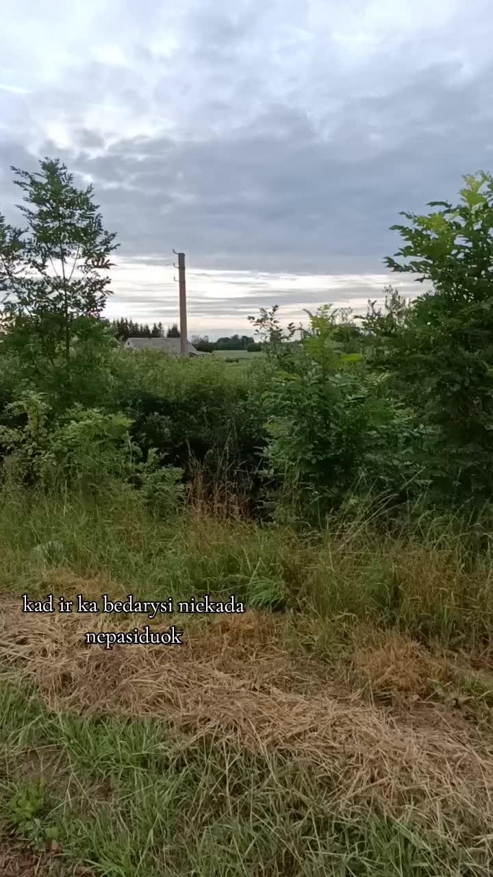 @шанувальник міягі