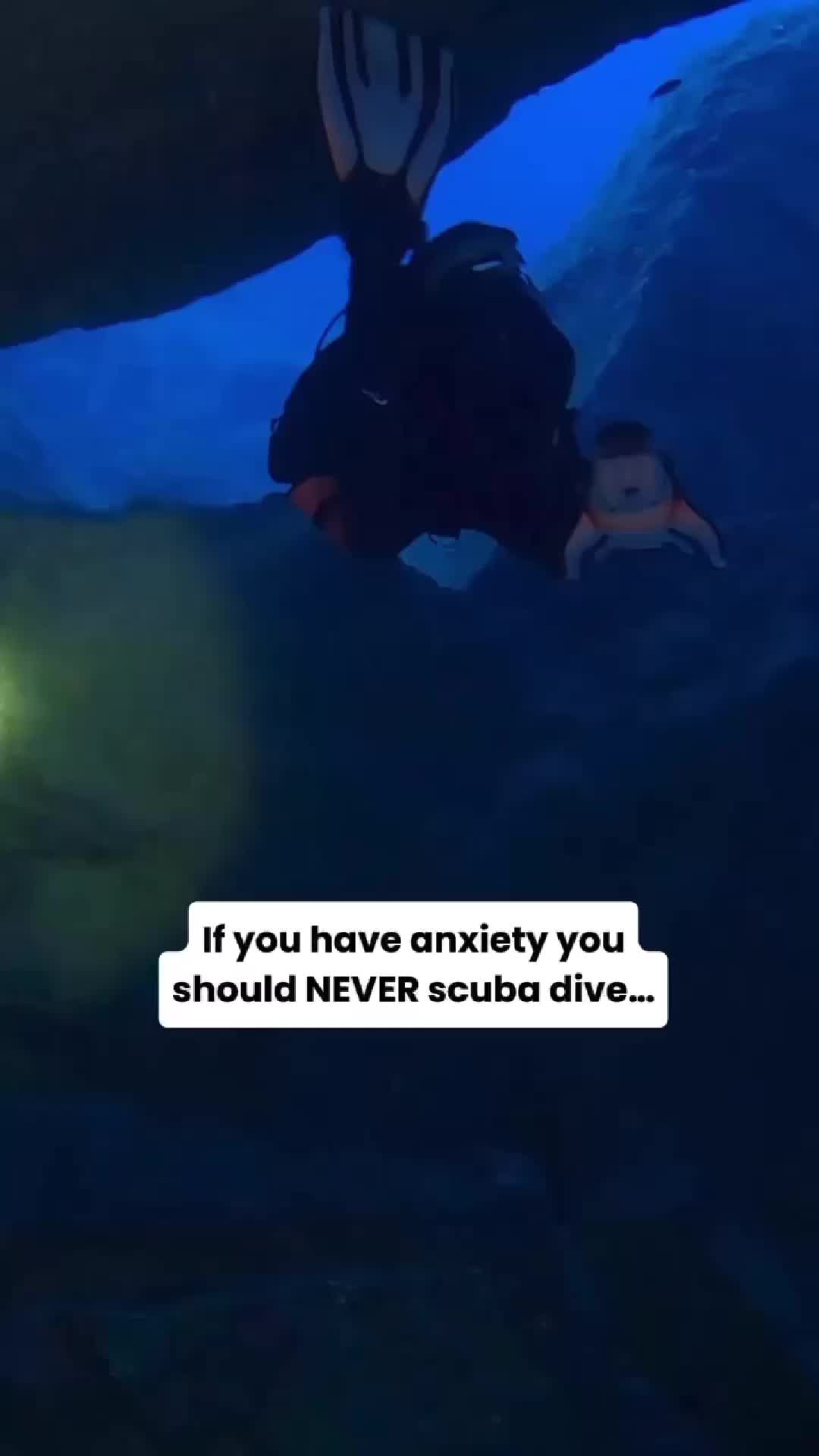 @Divernowmarine
