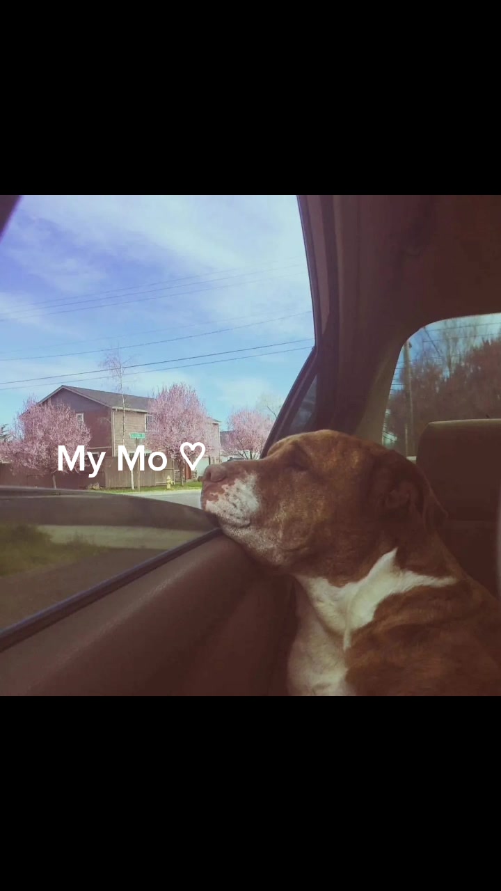 @M
