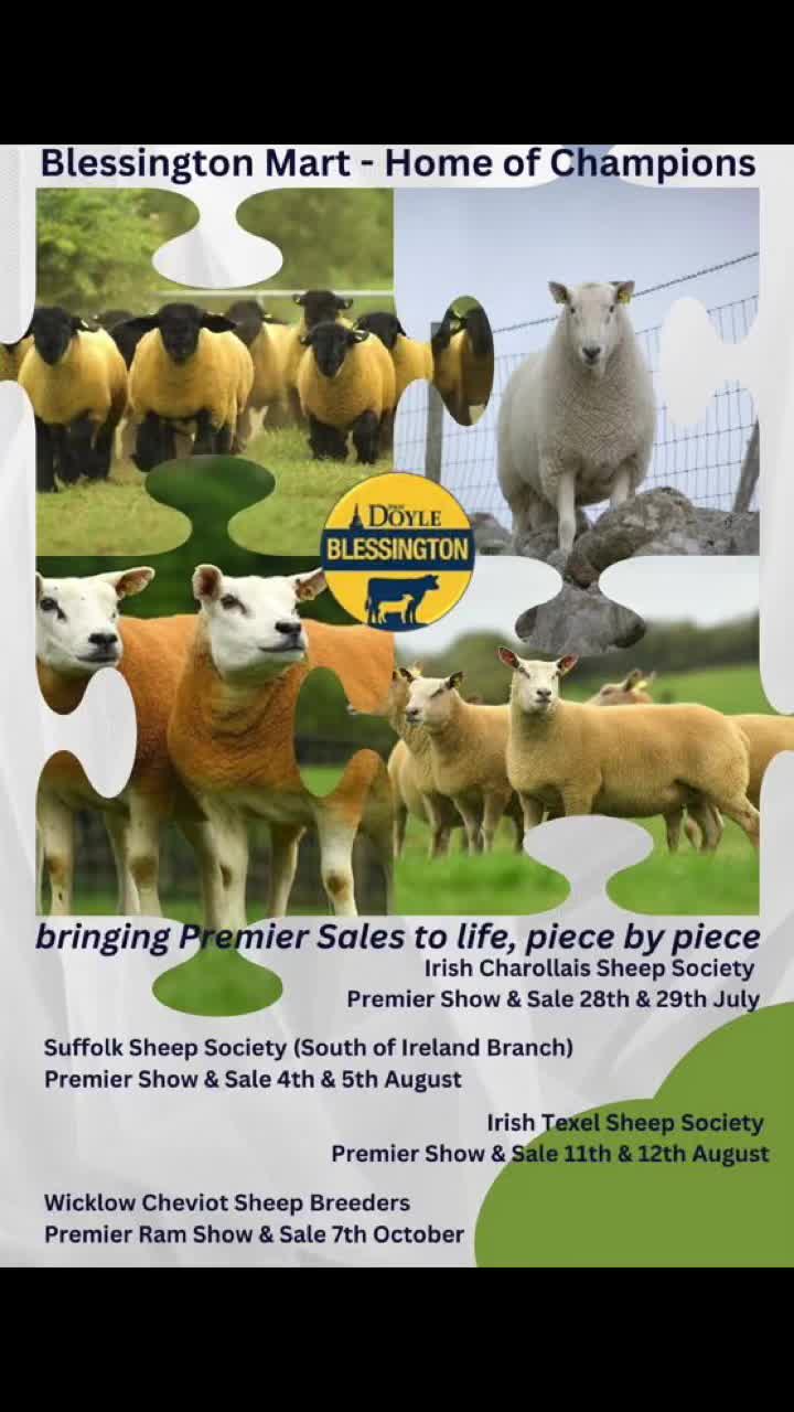 @Blessington_mart