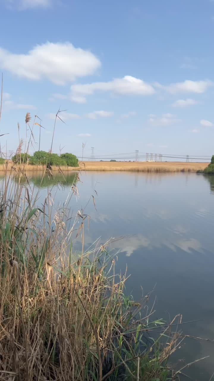 @Ashleigh Gray
