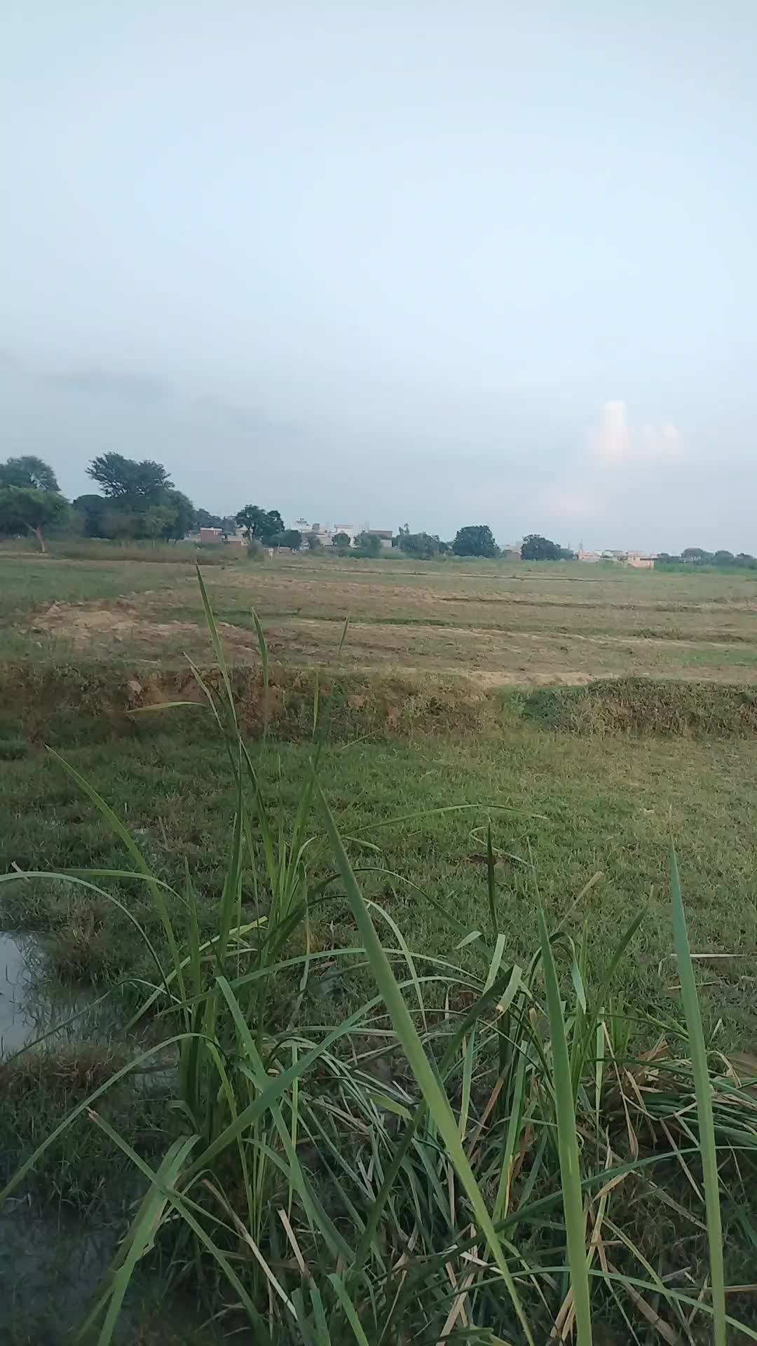@Gujrati