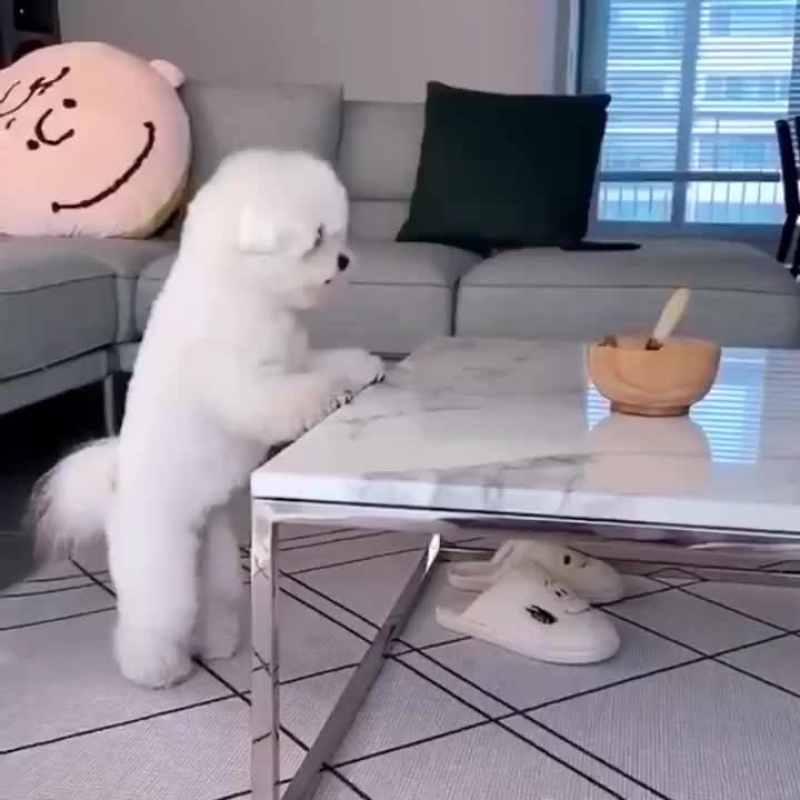 @user11009811448656