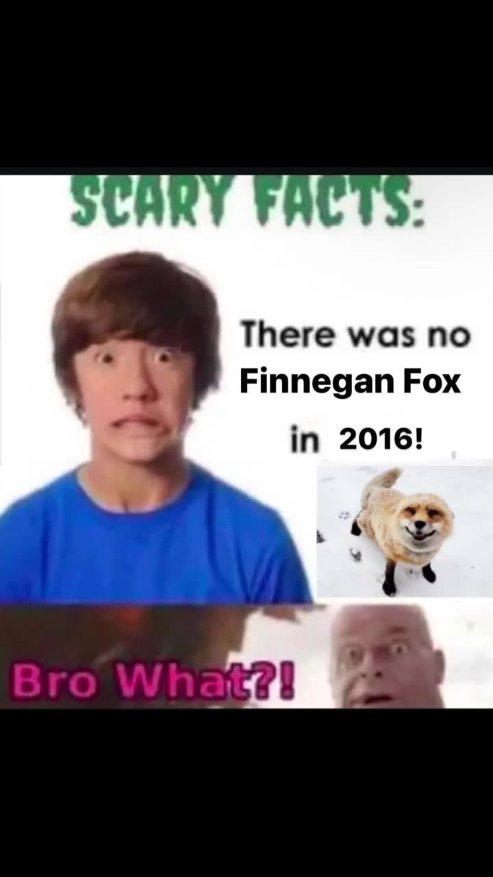 @fungus