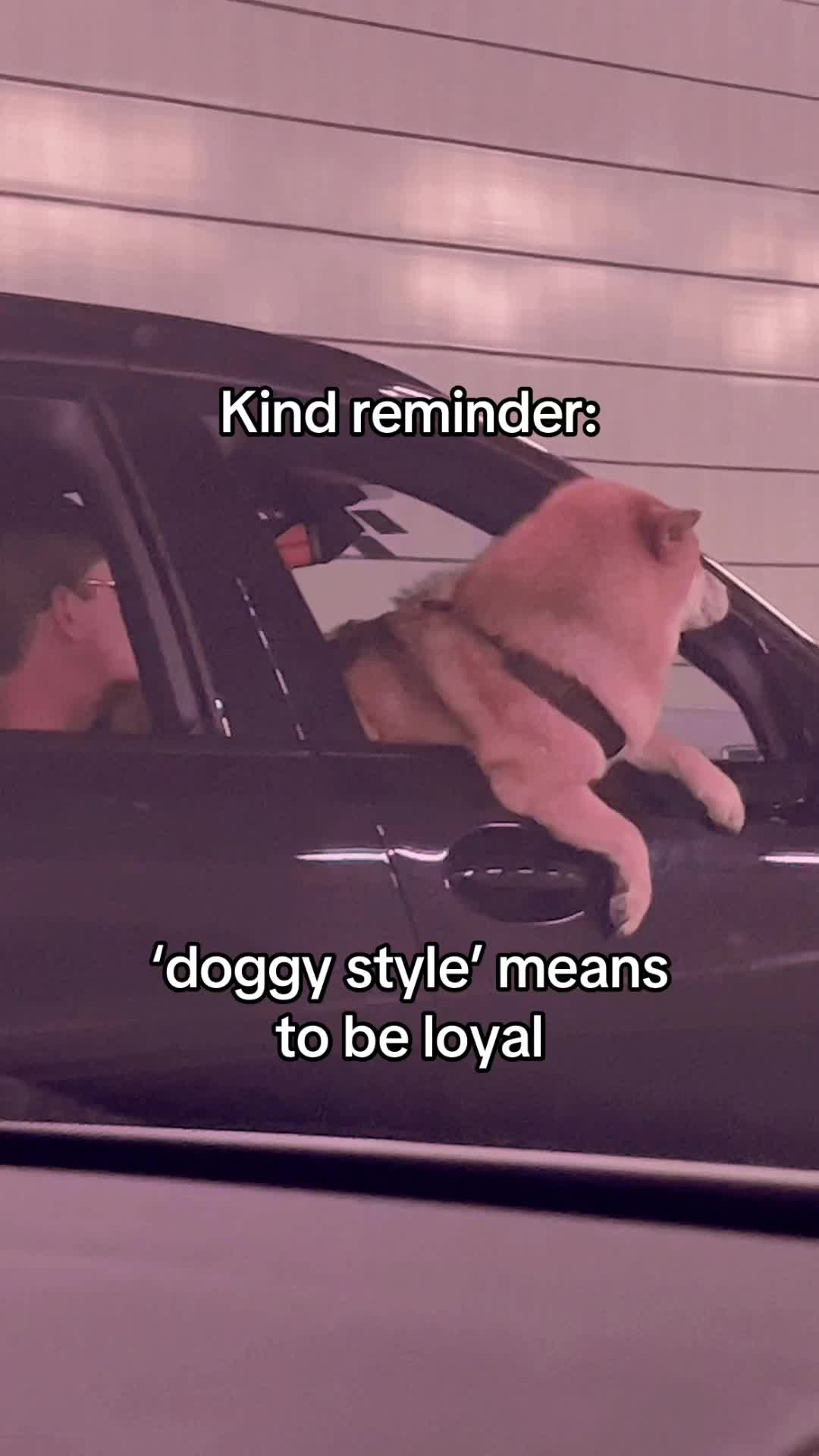 @Kasymi