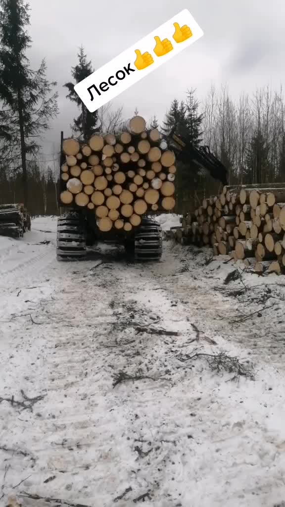 @Андрей Шубин