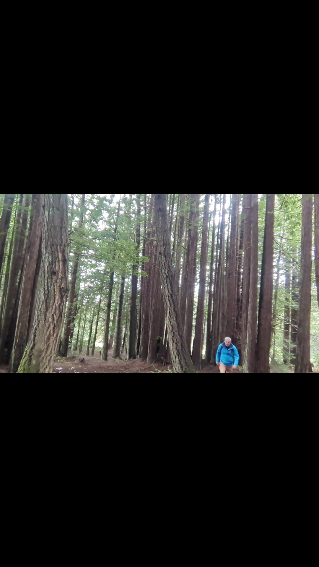@Marin Trail Hiker