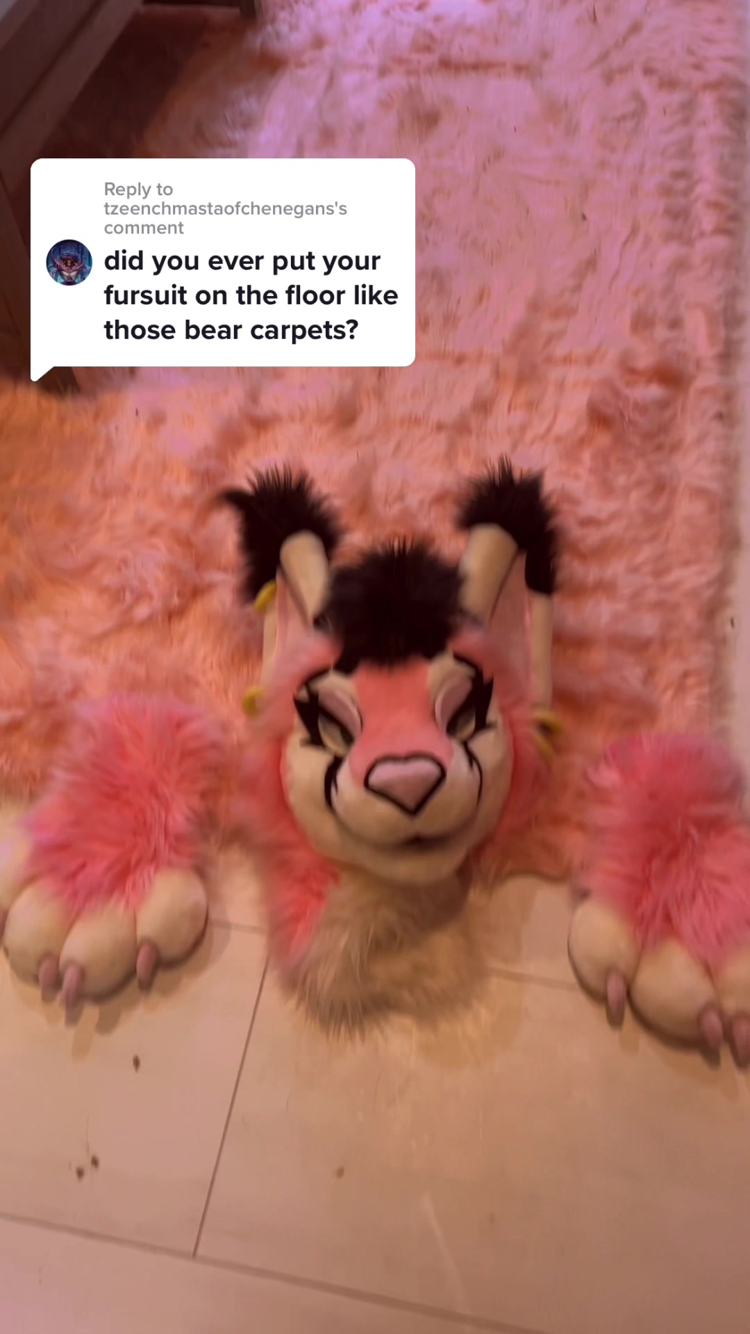 @Juice the Caracal