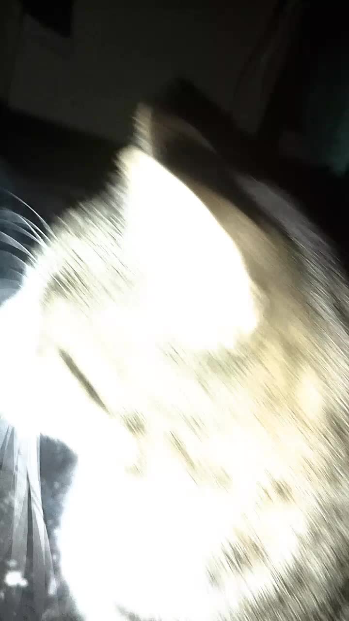 @ᖭི༏ᖫྀ