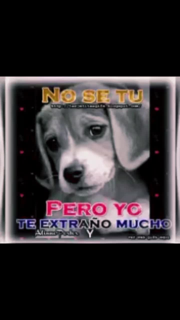 @derling2023
