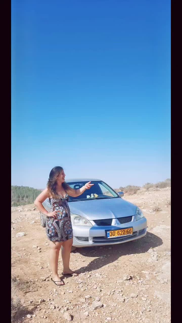 @Shaked Yogev