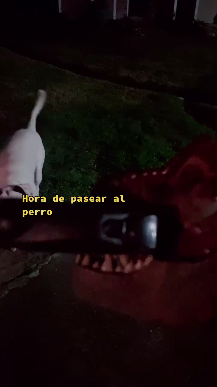 @T.Rex