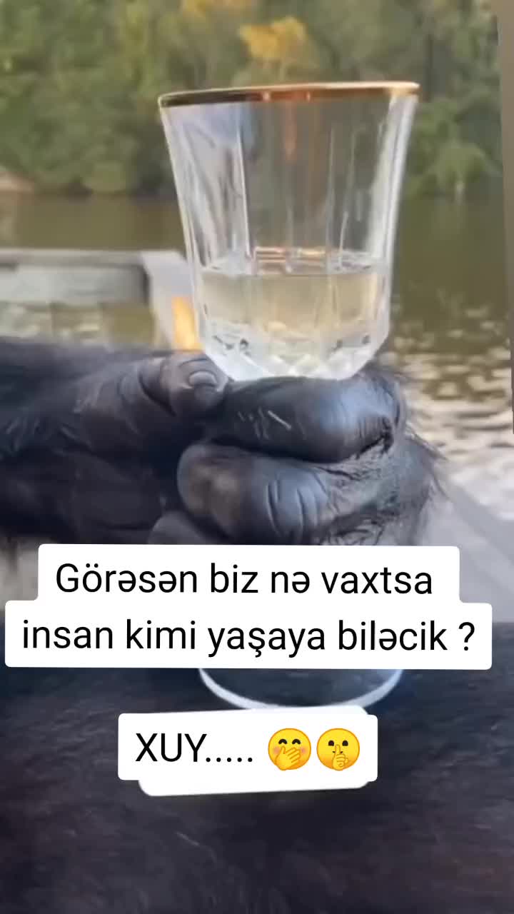 @ghost_123