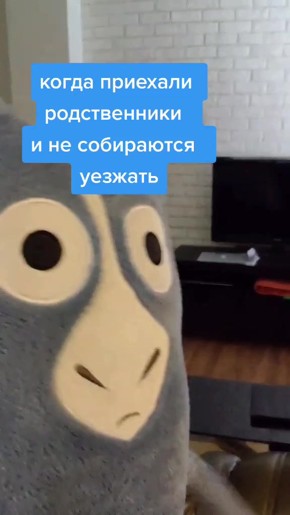 @Osel Oselkin