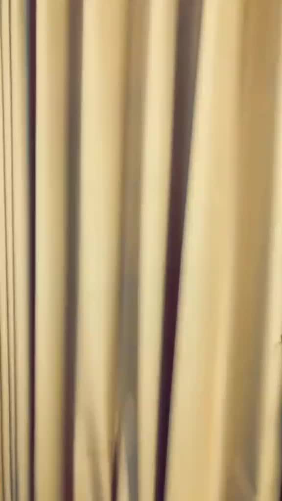 @bajajsheena