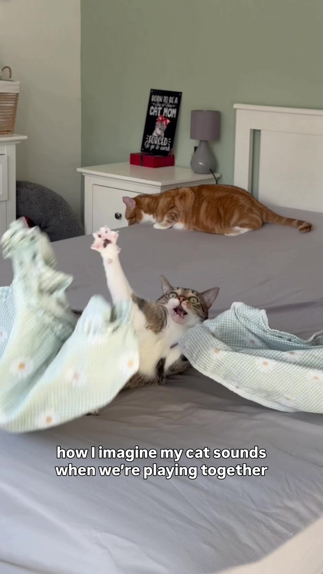 @lola_and_popps