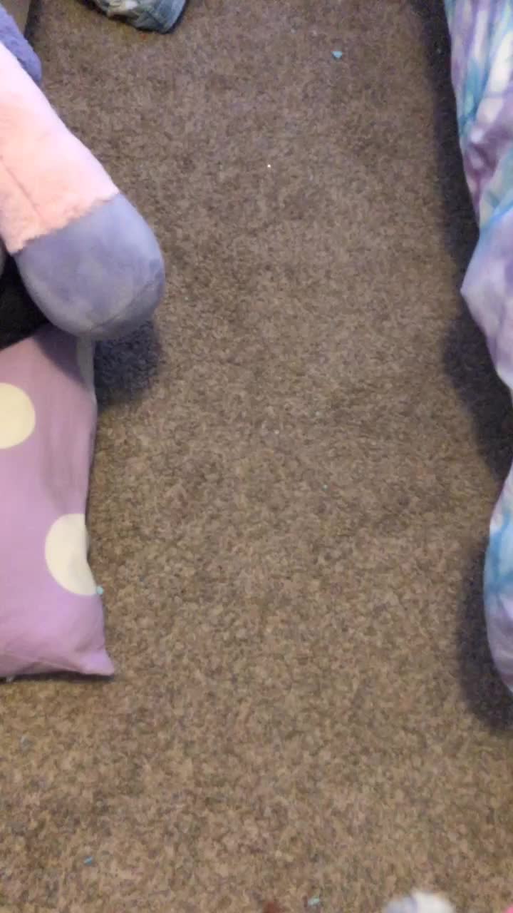 @tik.tok.xx.hypehouse