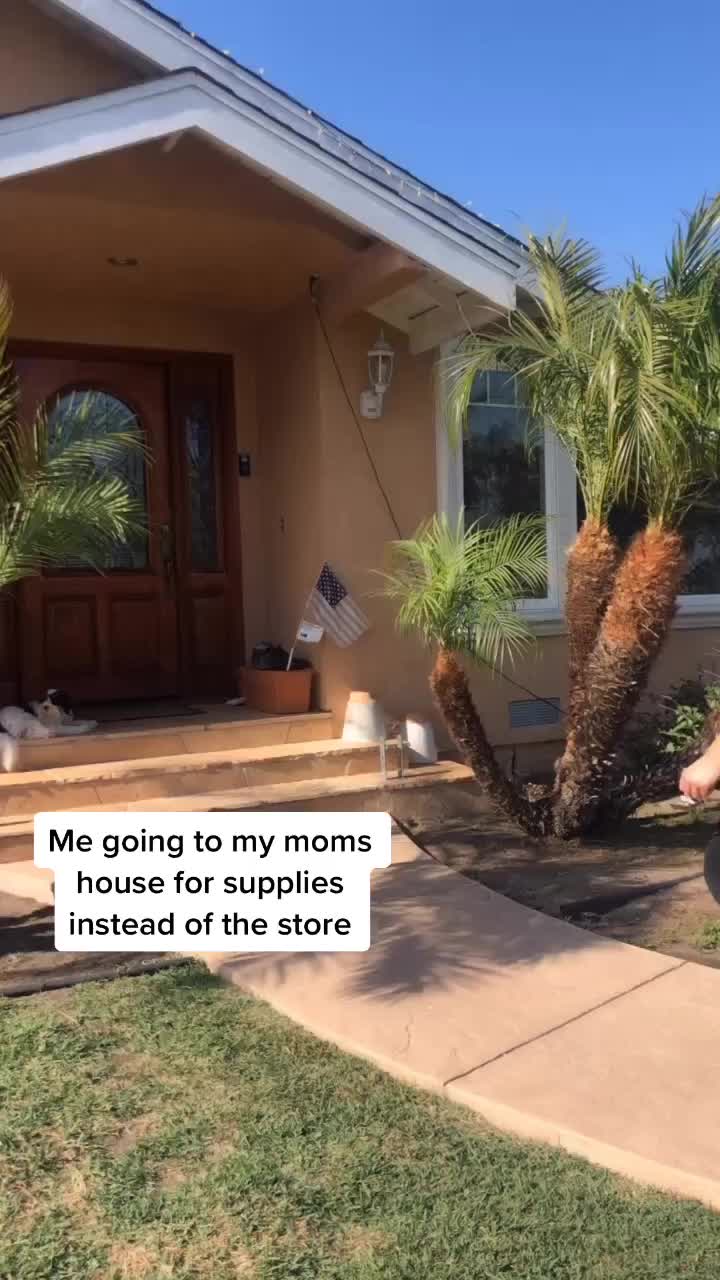 @Momo