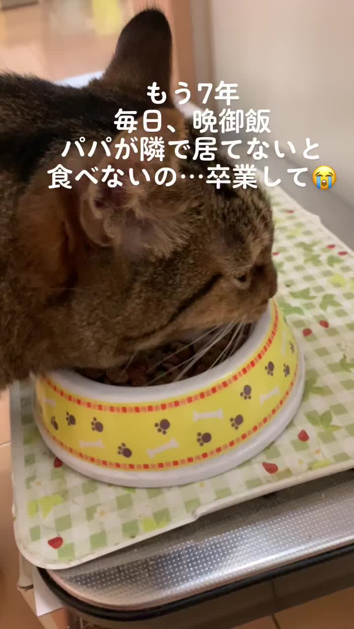 @かず吉🍻