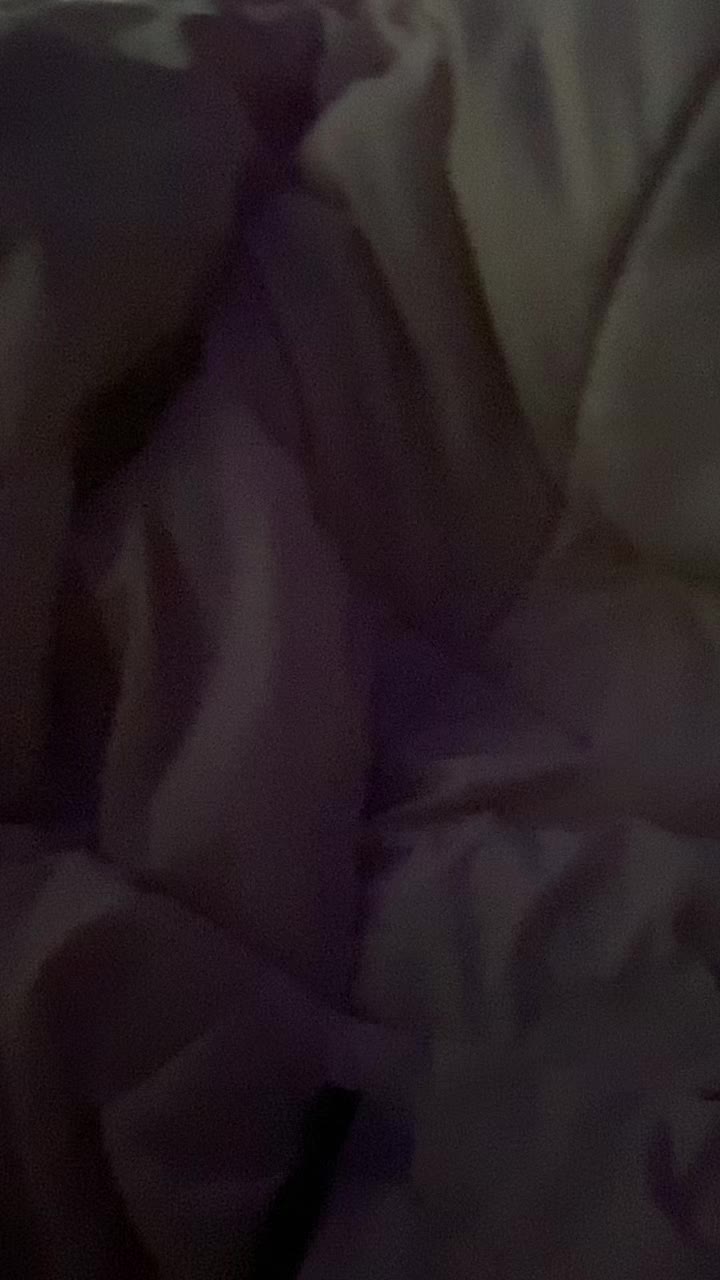 @Tulip