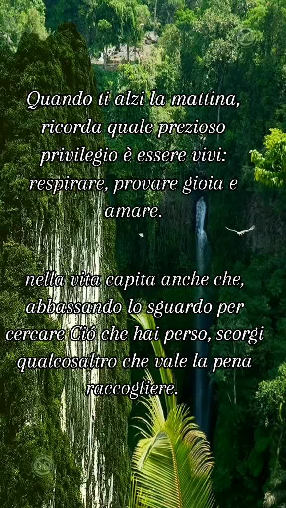 @💙 H34RT 0F D14M0ND 💎