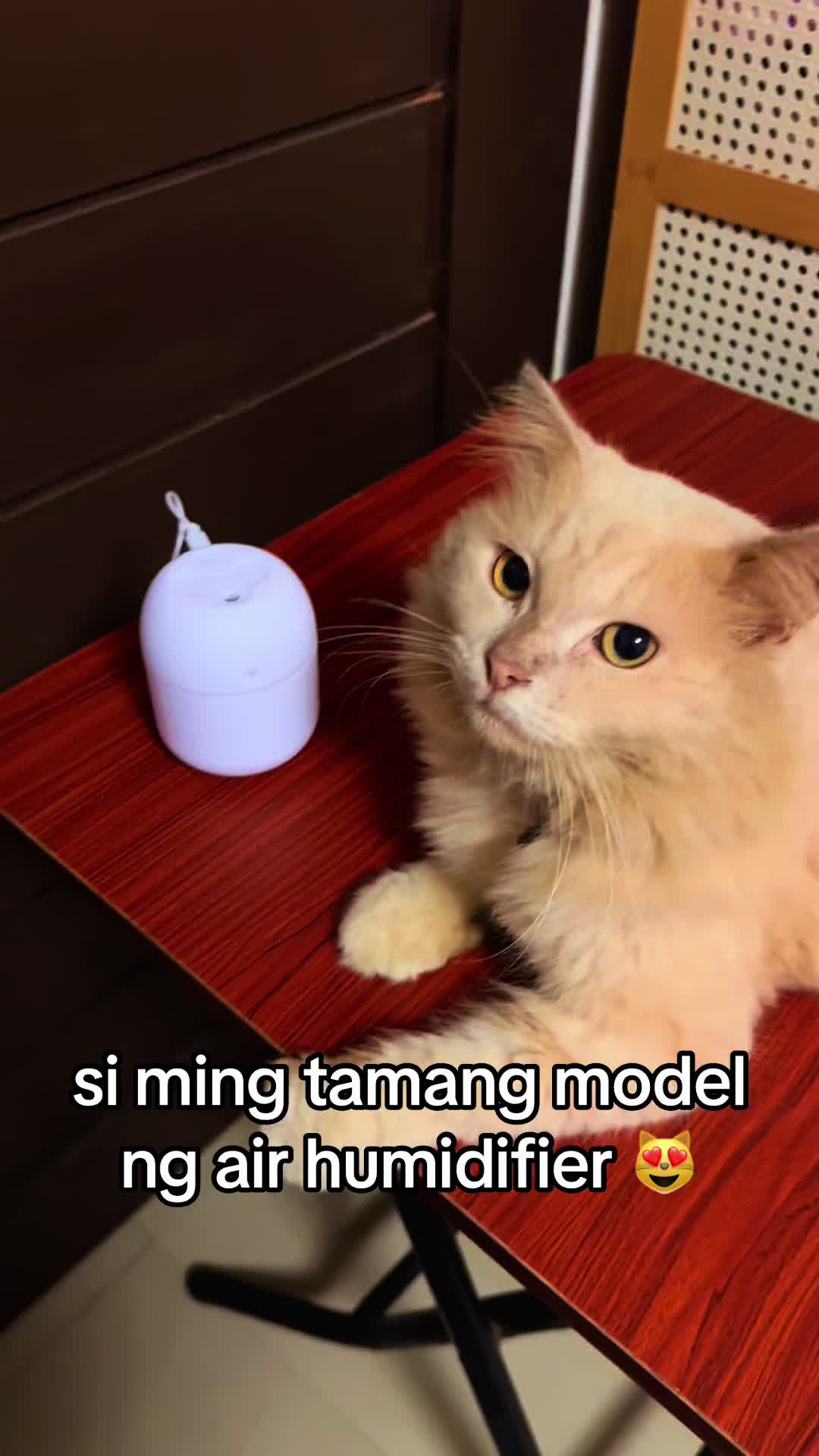 @ms. marj b