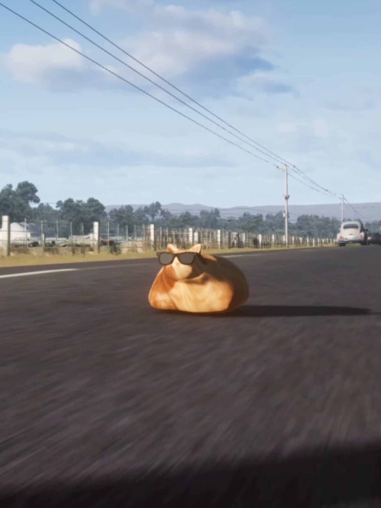 @Pablo the Race Cat