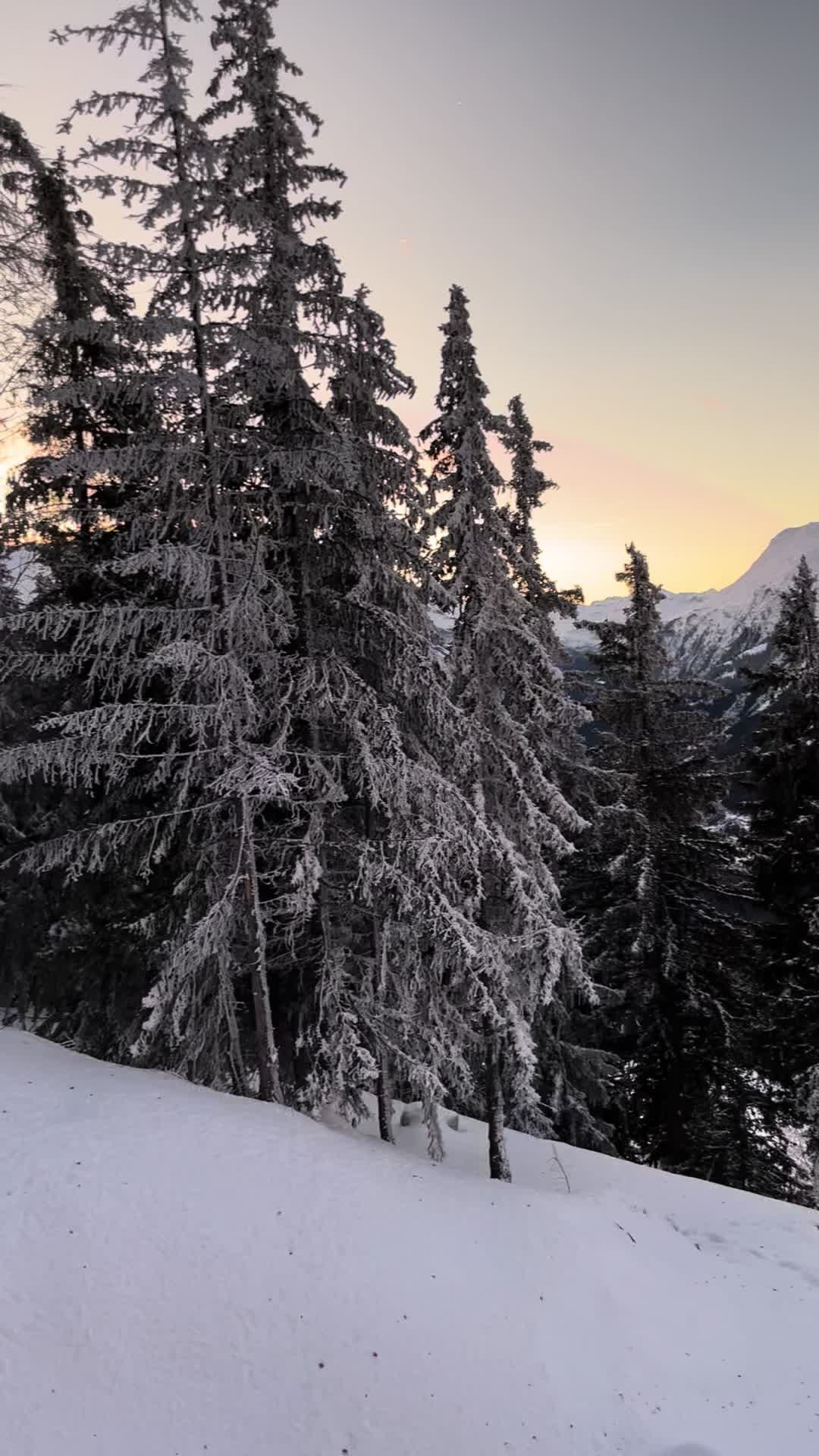 @Alex.bzh