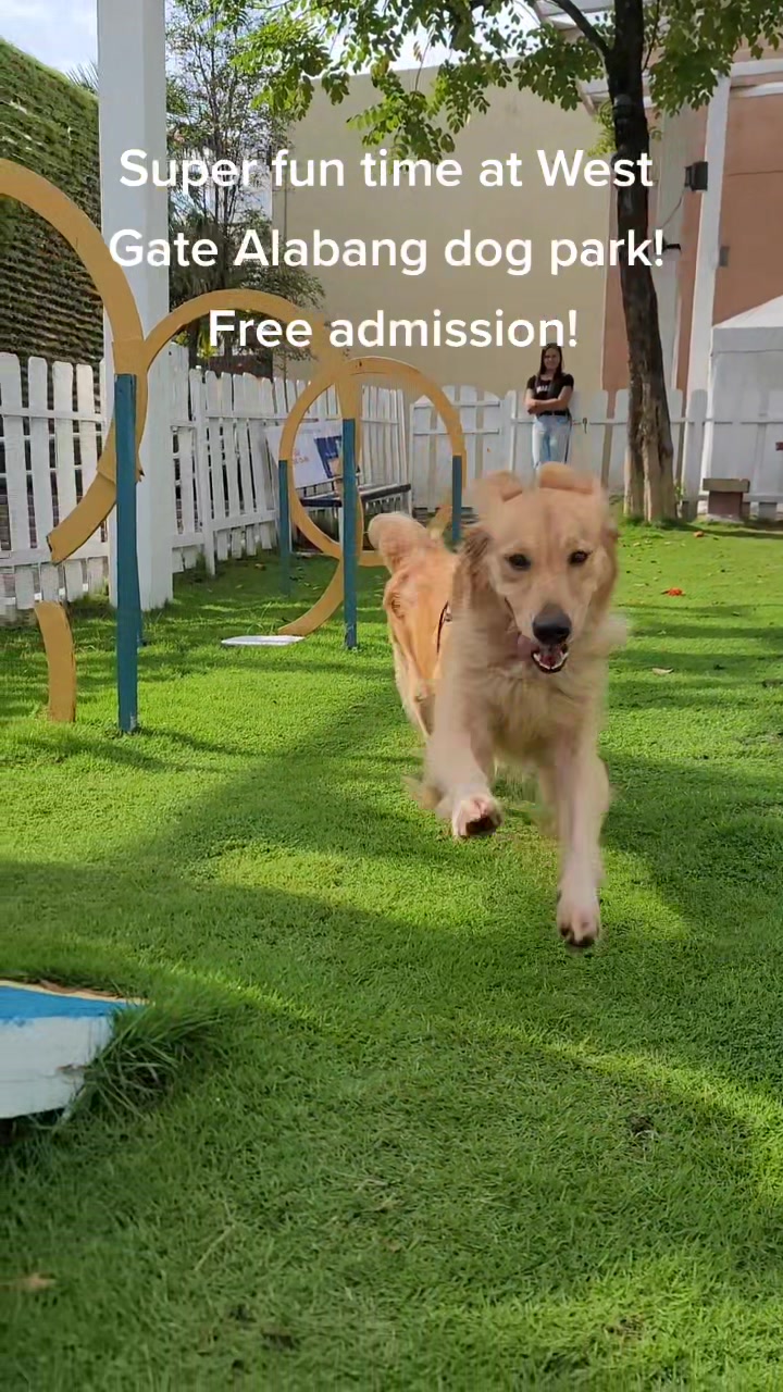 @Maxsafe