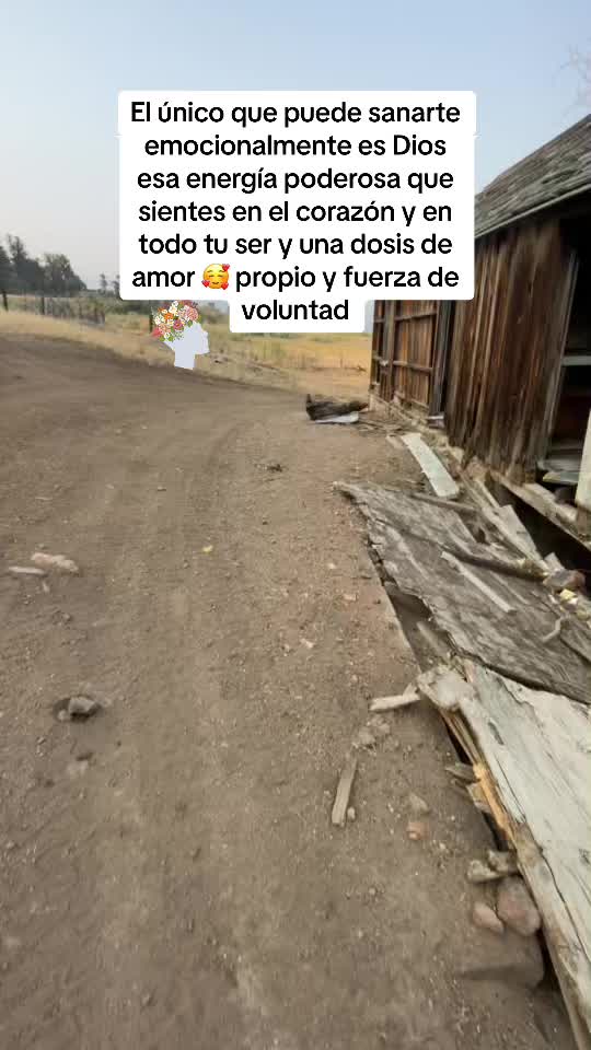 @La pantera de Oaxaca3