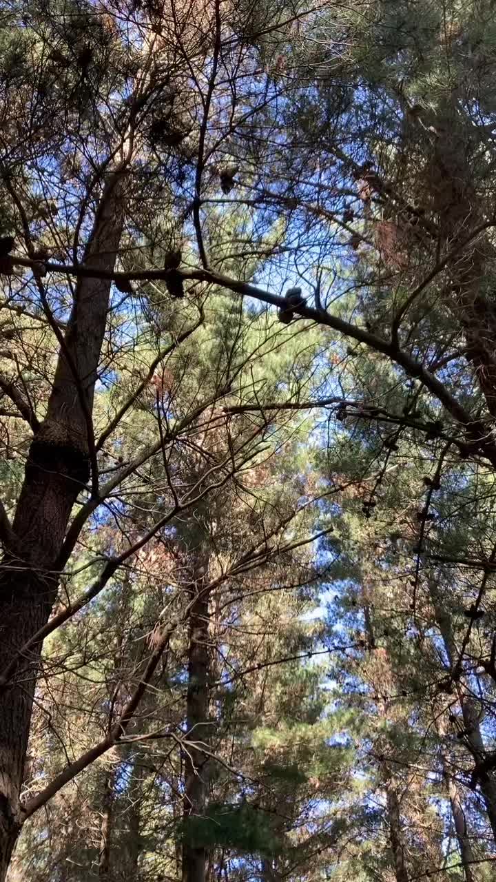 @MTB shredder&rsquo;s