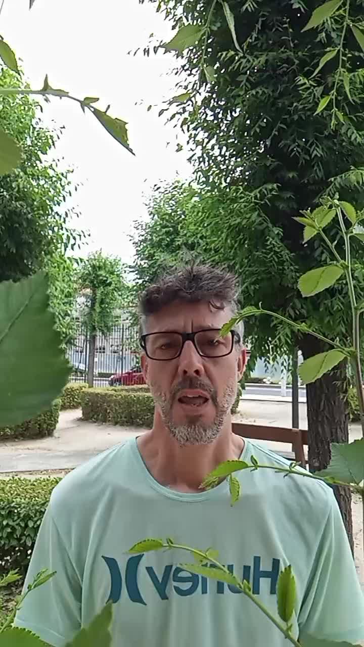 @san