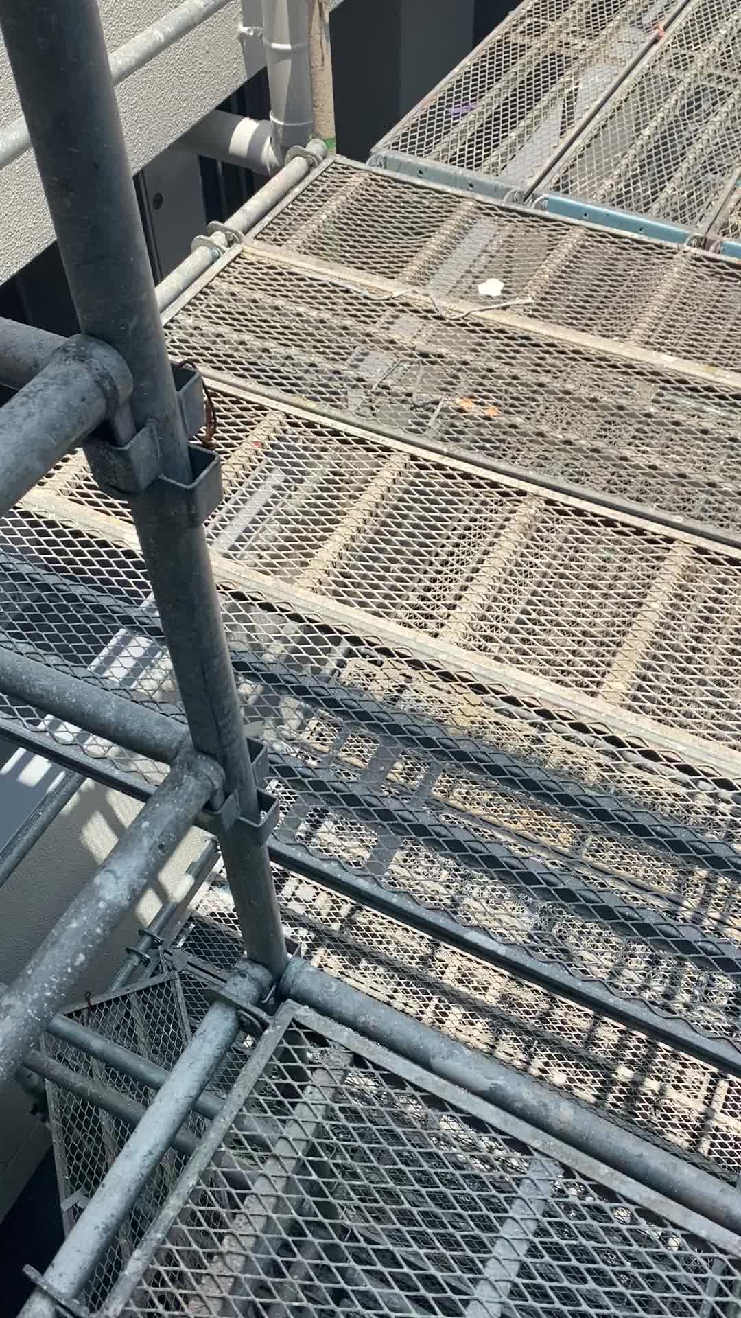 @S,T,K