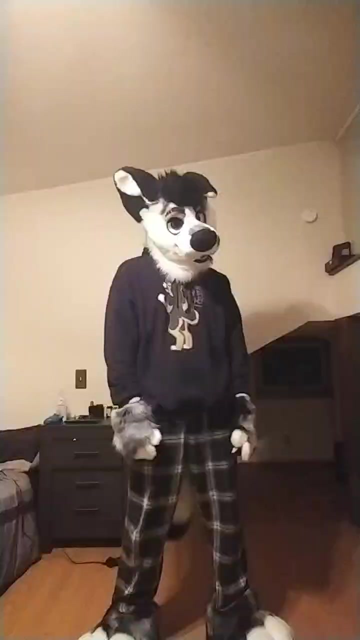 @Ryker_Mutt
