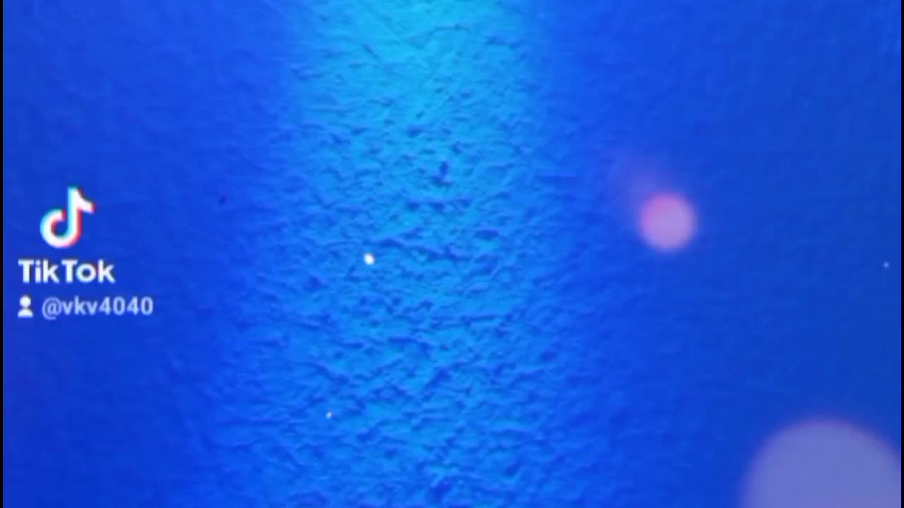 @🦠🦠VKV🦠🦠