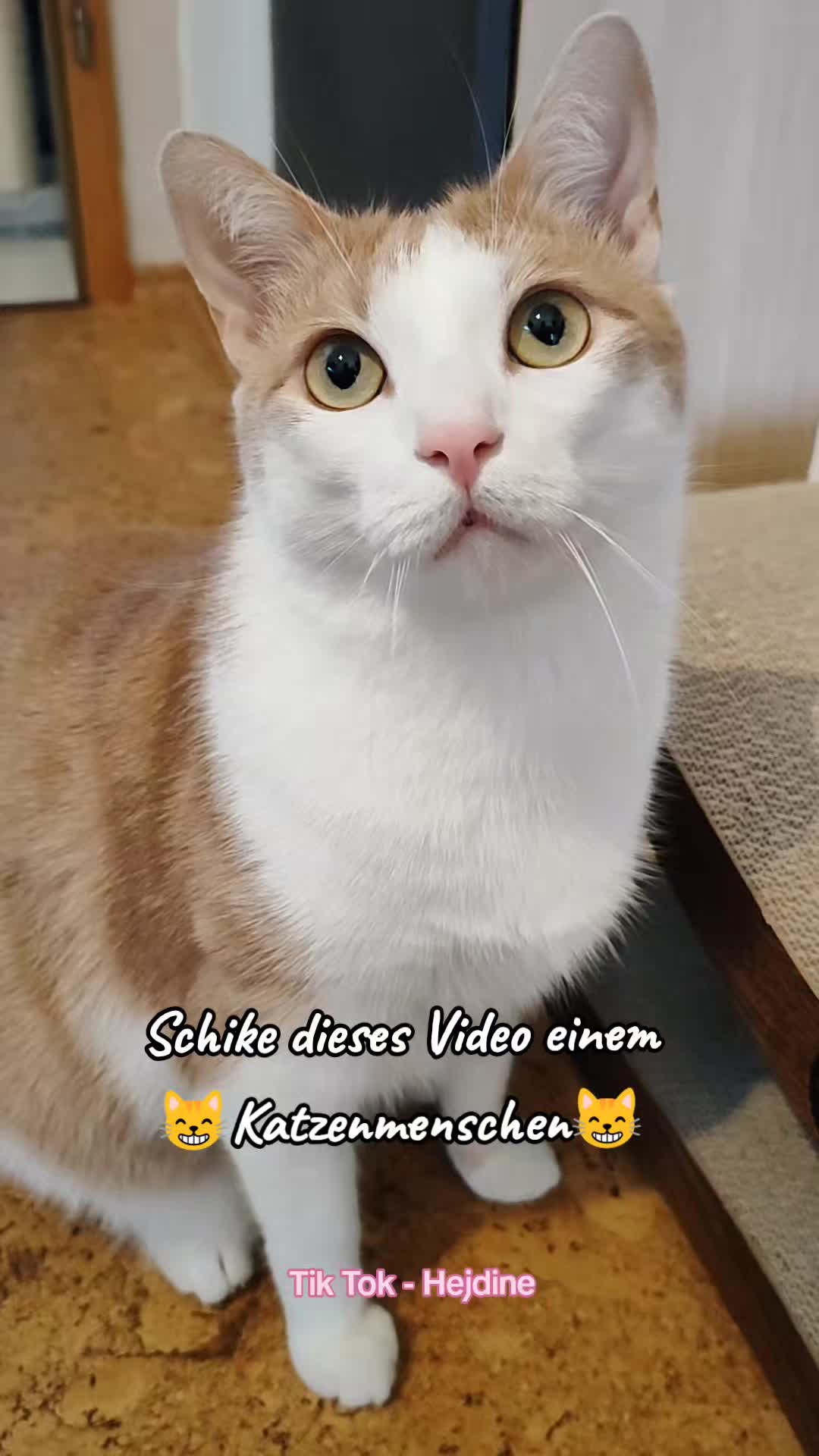 @😻нⷩeͤjdͩiͥneͤ😻