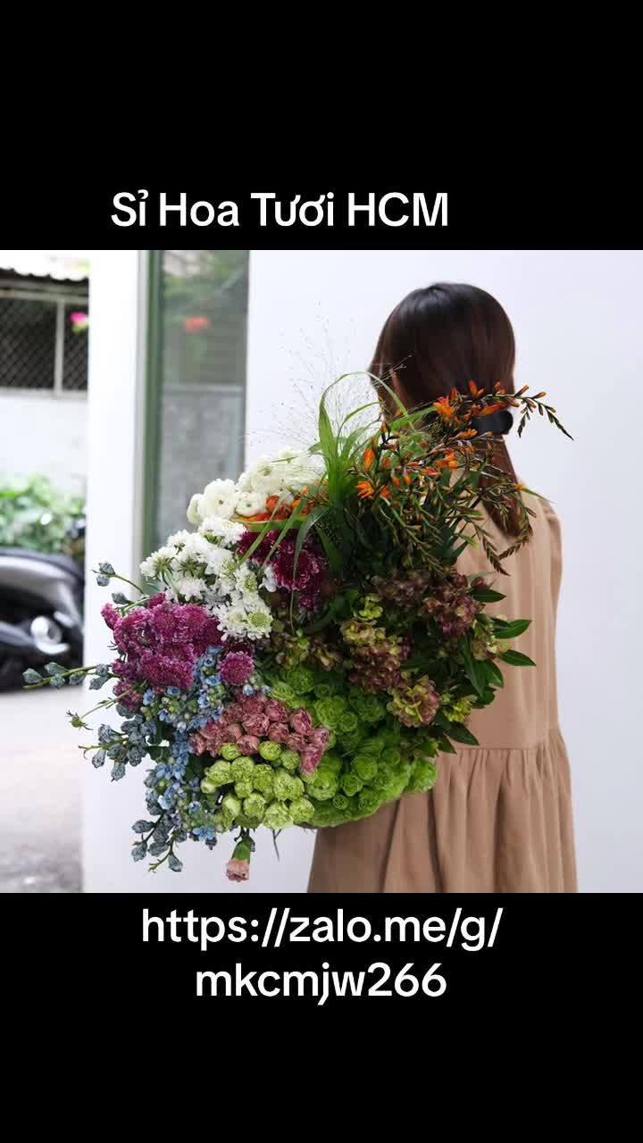 @Tran Phuong Nhien