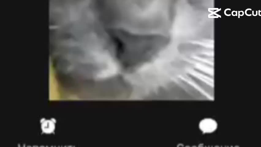 @Клубника коля