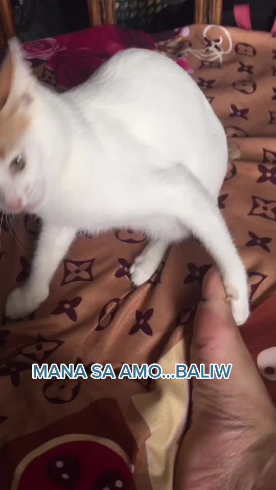 @Debie & Aisha