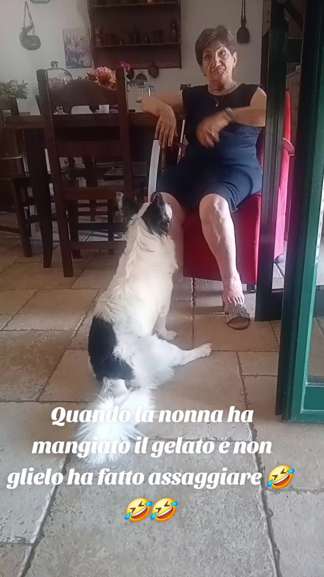 @LuciPancio